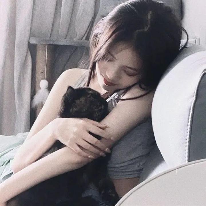我私人的爱达荷